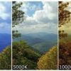 LearnLeap - Image 3