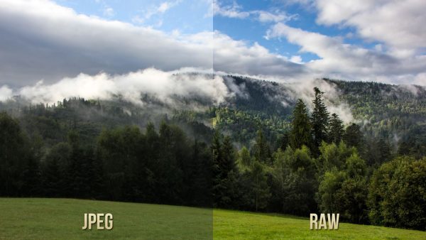 LearnLeap - Image 2